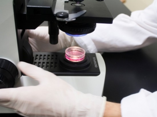 МГЦ СПИД - Китайские ученые узнали, как вылечить ВИЧ и рак